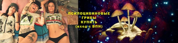 СК Алексин