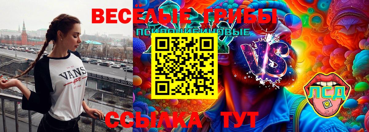 Псилоцибиновые грибы GOLDEN TEACHER  Вход с VPN  Галлюциногенные грибы MAGIC MUSHROOMS  где можно купить наркотик  Новошахтинск 